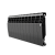 Радиатор Royal Thermo BiLiner 350 /Noir Sable - 12 секц.