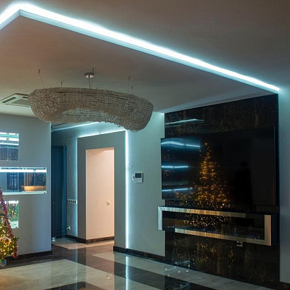 Настенный биокамин Onion 2000