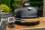 Цифрой термометр DynaQ BBQ GURU EDITION Цифрой термометр DynaQ BBQ GURU EDITION