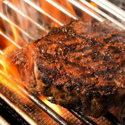 Встраиваемая горелка Napoleon инфракрасная