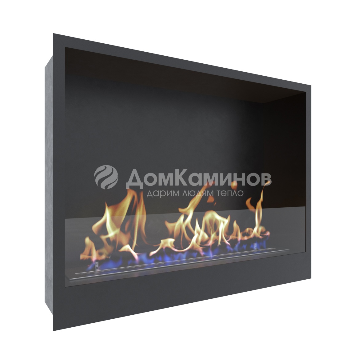 Биокамин Insert 800