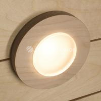 Светильник Cariitti SCA