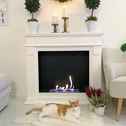 Биокамин Маргарита белый