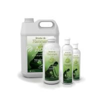 Аромат для хамама Camylle Эвкалипт