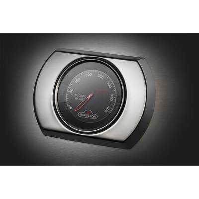 Встраиваемый газовый гриль Napoleon BI-32